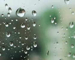 梅雨時期の水害に備える！水が使えなくなった時のトイレ事情